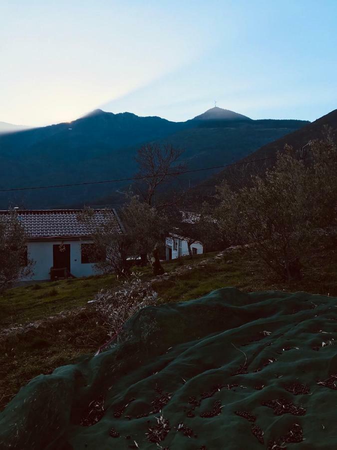 "Casa Do Avo Patricio" Mountain Experience Villa Parada  Eksteriør billede